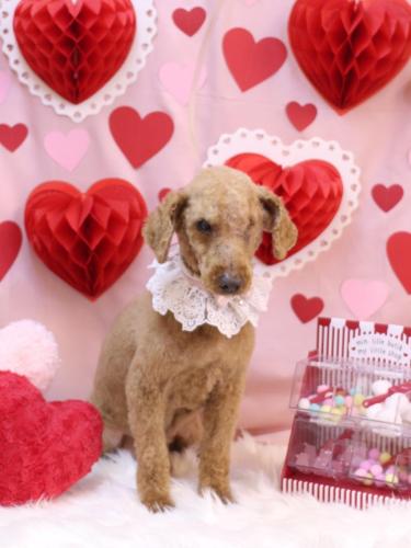 20240206ロンくん